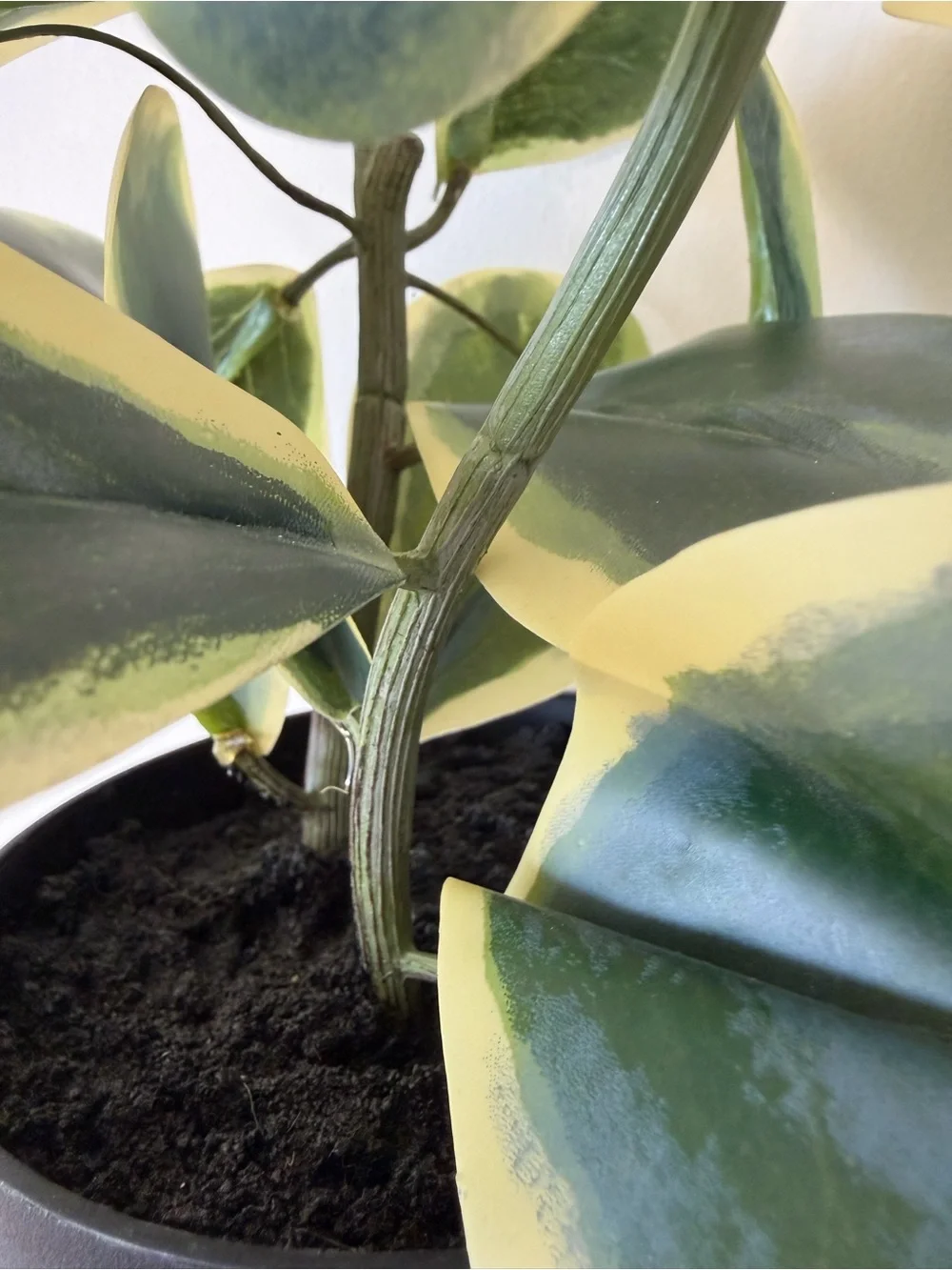 [NWOT] Faux Trailing Heart Plant